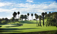 las palmas golf course